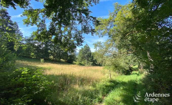 Vaste villa pour 12 personnes � Lierneux