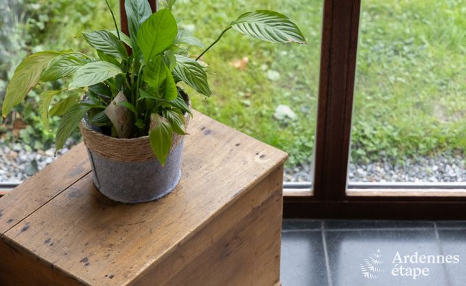 Maison de vacances � Lierneux pour 8 personnes en Ardenne