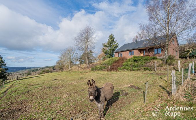 Maison de vacances cosy et moderne  Lierneux, Ardenne orientale