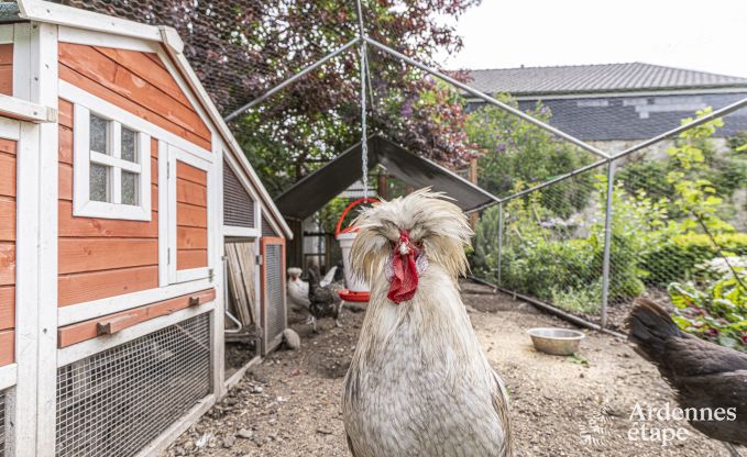 Maison de vacances � Limbourg pour 9 personnes en Ardenne