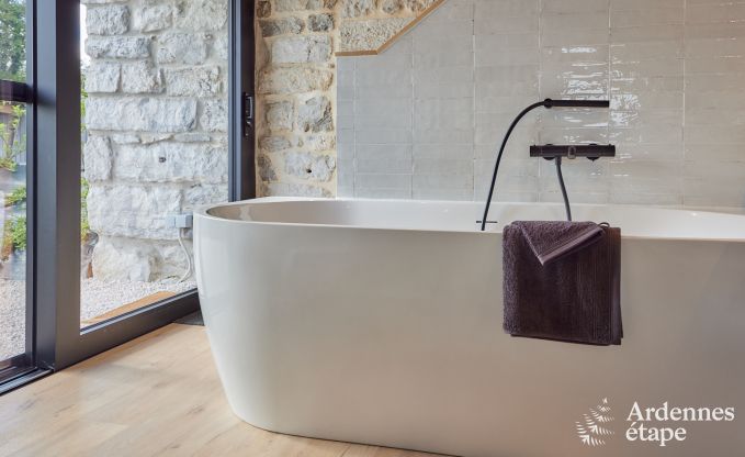 Villa de vacances confortable pour 14  Limbourg, Ardenne