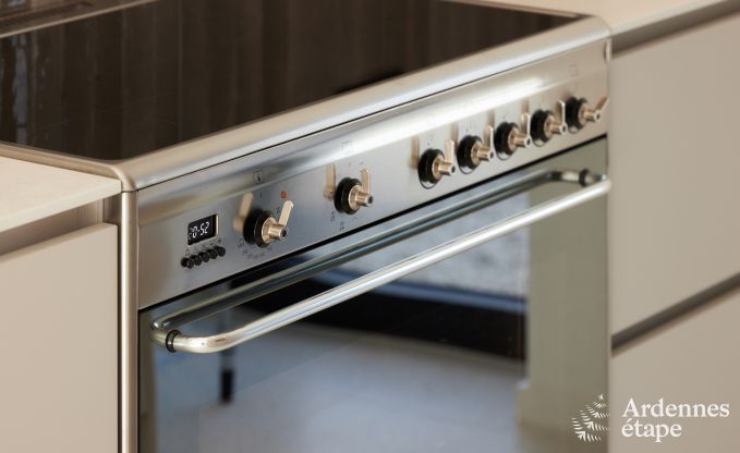 Villa de vacances confortable pour 14  Limbourg, Ardenne