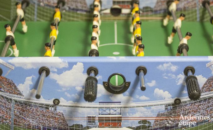 Gite de charme � Malmedy (Bellevaux) pour 9 personnes en Ardenne