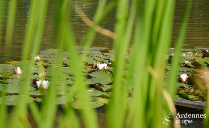 Chalet � Malmedy pour 20 personnes en Ardenne