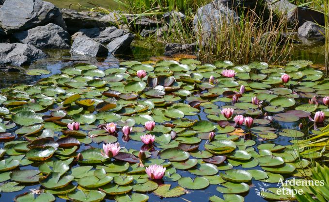 Chalet � Malmedy pour 20/21 personnes en Ardenne