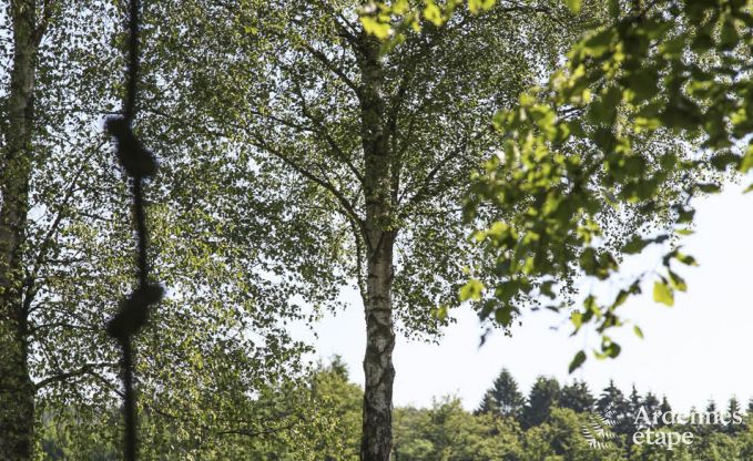 Maison de vacances  Malmedy pour 8 personnes en Ardenne