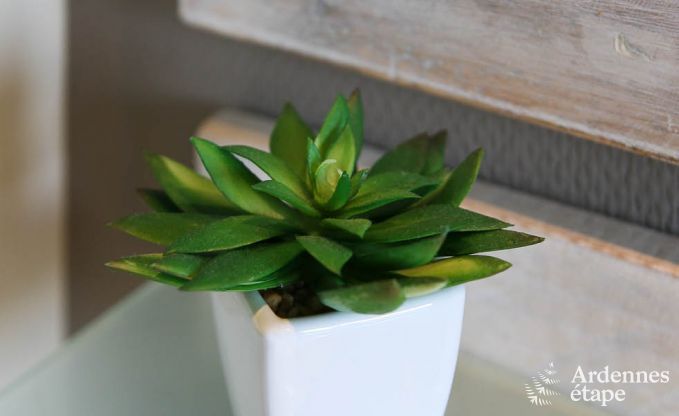 Maison de vacances � Malmedy pour 2/4 personnes en Ardenne