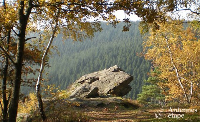Grande maison de vacances pour 8 personnes  Malmedy avec 4 chambres, sauna, chemine et jardin priv