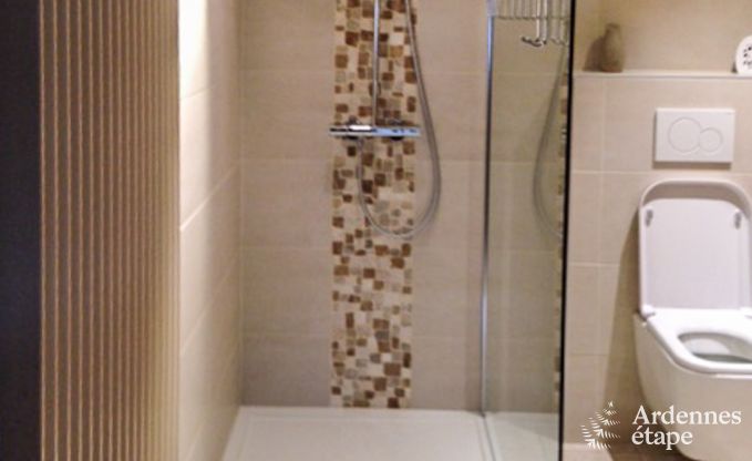 Grande maison de vacances pour 8 personnes  Malmedy avec 4 chambres, sauna, chemine et jardin priv