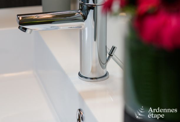 Grande maison de vacances pour 8 personnes  Malmedy avec 4 chambres, sauna, chemine et jardin priv