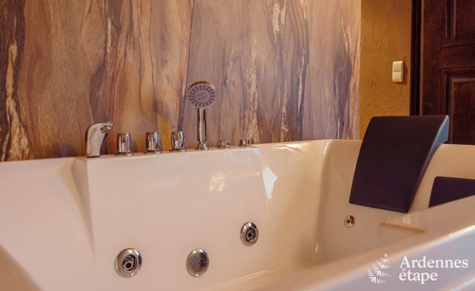 Villa de Luxe � Malmedy pour 12 personnes en Ardenne