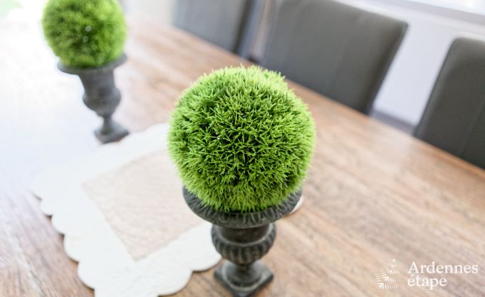 Villa de Luxe � Malmedy pour 15/18 personnes en Ardenne