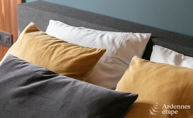 Villa de Luxe � Malmedy pour 14 personnes en Ardenne