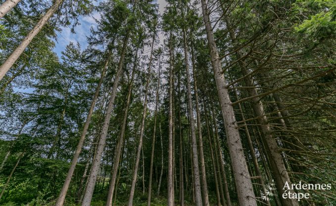 Villa de Luxe � Malmedy pour 14 personnes en Ardenne