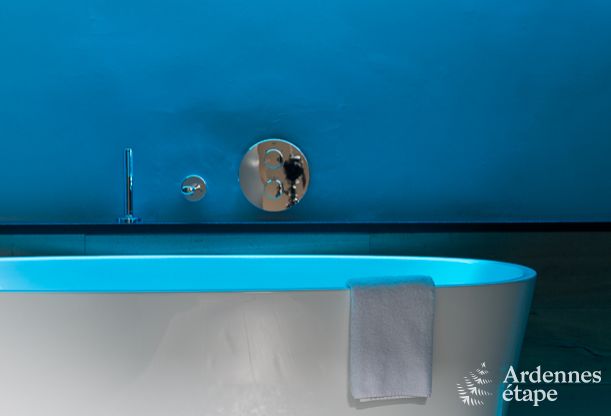 Villa de Grand Luxe sur�quip�e pour 8 personnes � Malmedy en Ardenne