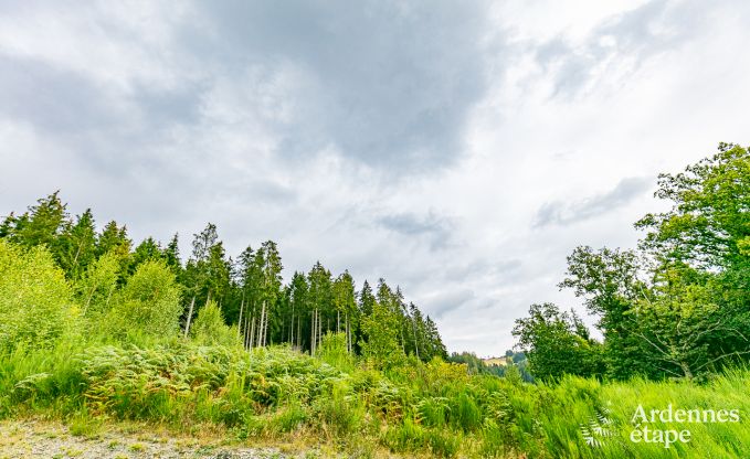 Chalet  Malmedy pour 12 personnes en Ardenne