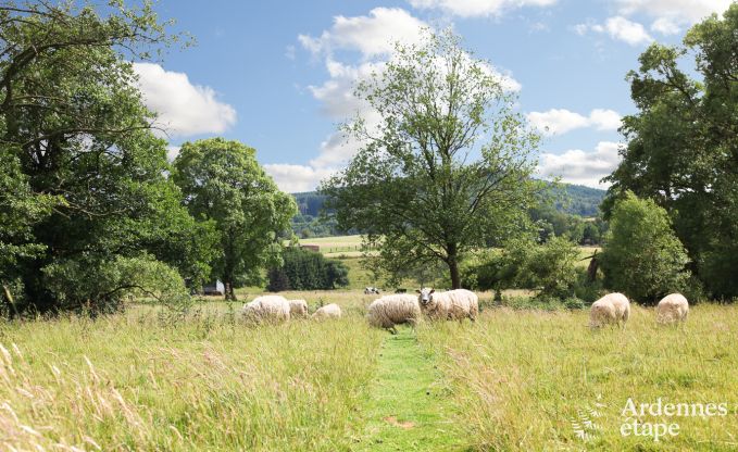 Maison de vacances  Malmedy pour 4/5 personnes en Ardenne