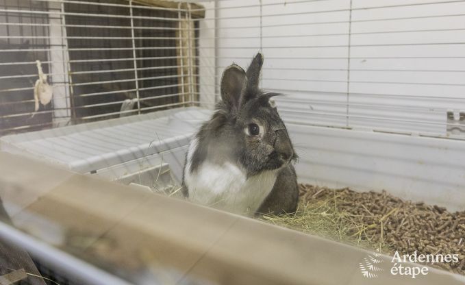 Maison de vacances  Malmedy pour 7 personnes en Ardenne