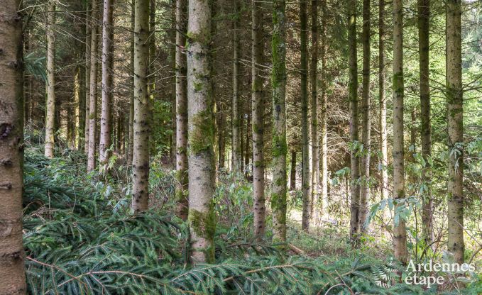 Maison de vacances  Malmedy pour 8 personnes en Ardenne