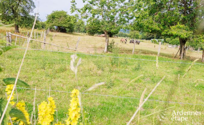 Maison de vacances  Malmedy pour 6 personnes en Ardenne