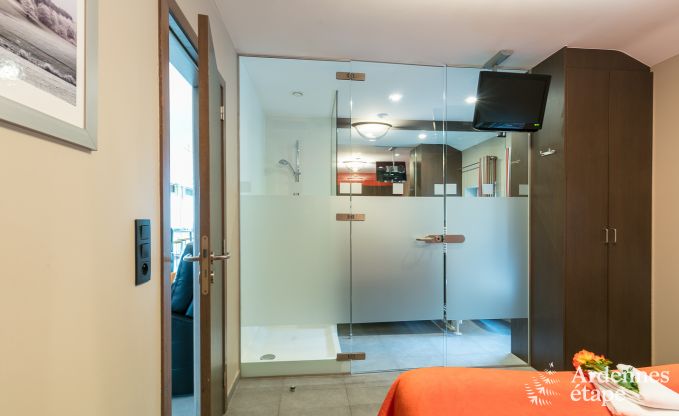 Villa de Luxe � Malmedy pour 8/9 personnes en Ardenne