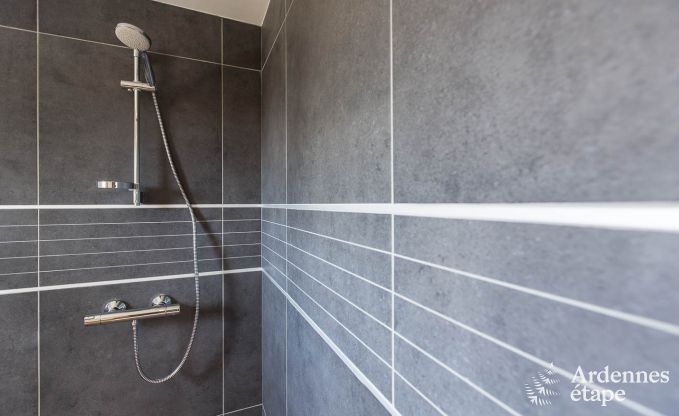 Villa de Luxe � Malmedy pour 12 personnes en Ardenne