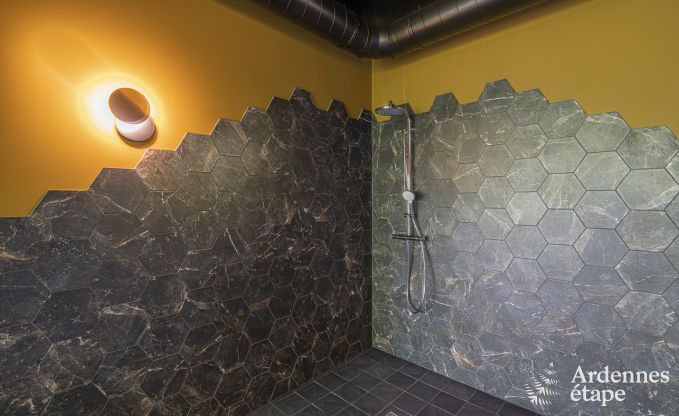 Villa de Luxe � Malmedy pour 12 personnes en Ardenne