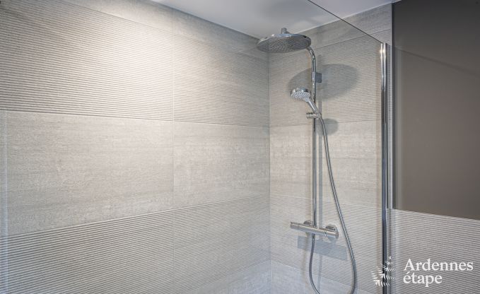 Villa de Luxe � Malmedy pour 12 personnes en Ardenne