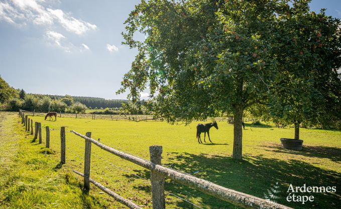 Spacieuse maison de vacances � Manhay pour 15 personnes avec des installations modernes en Ardenne
