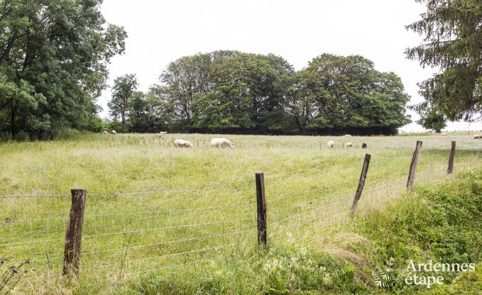 Maison de vacances � Manhay pour 4/5 personnes en Ardenne