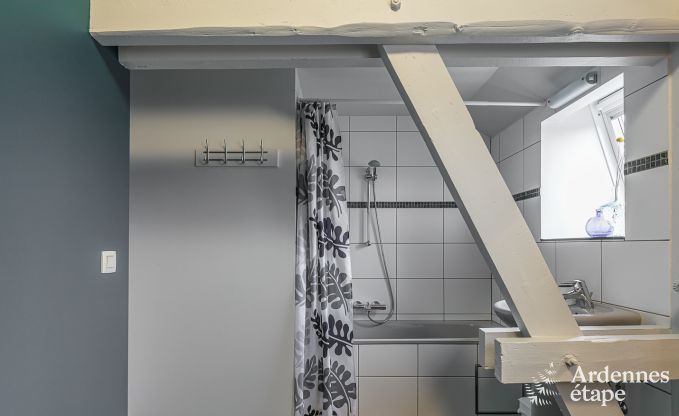 Maison de vacances avec sauna et jeux � Manhay pour 20 personnes en Ardenne