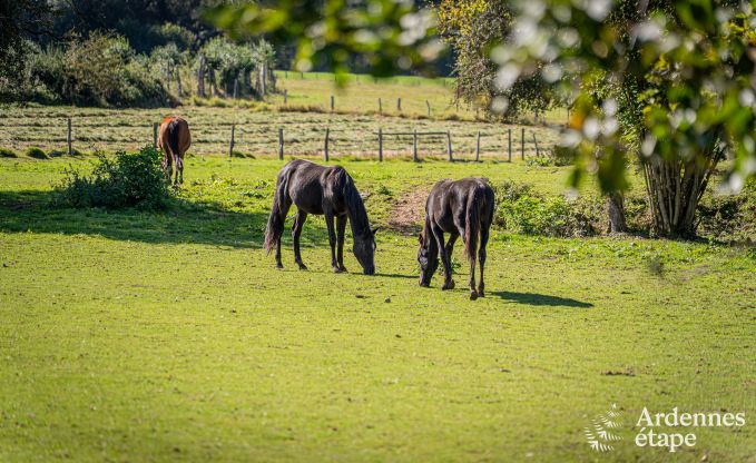 Spacieuse maison de vacances  Manhay pour 15 personnes avec des installations modernes en Ardenne