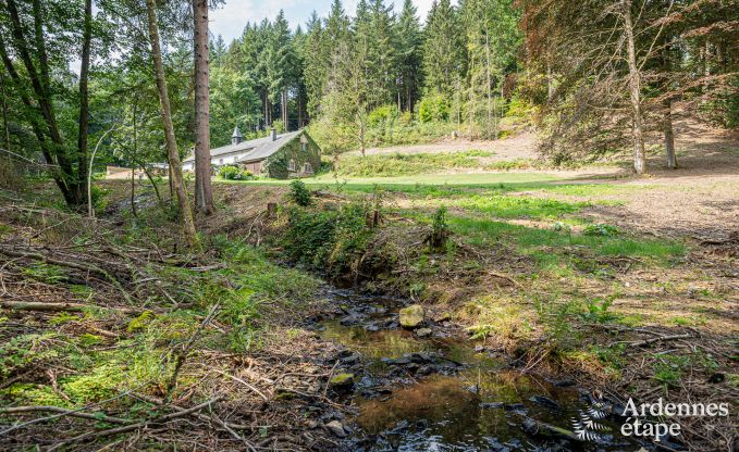 Charmante maison chien admis  Manhay pour 8 personnes, avec piscine extrieure chauffe, tang priv et garage  vlos  la lisire de la fort