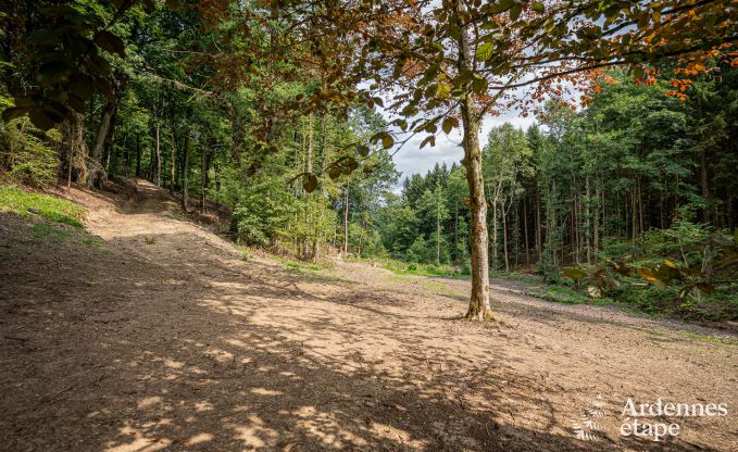 Charmante maison chien admis  Manhay pour 8 personnes, avec piscine extrieure chauffe, tang priv et garage  vlos  la lisire de la fort