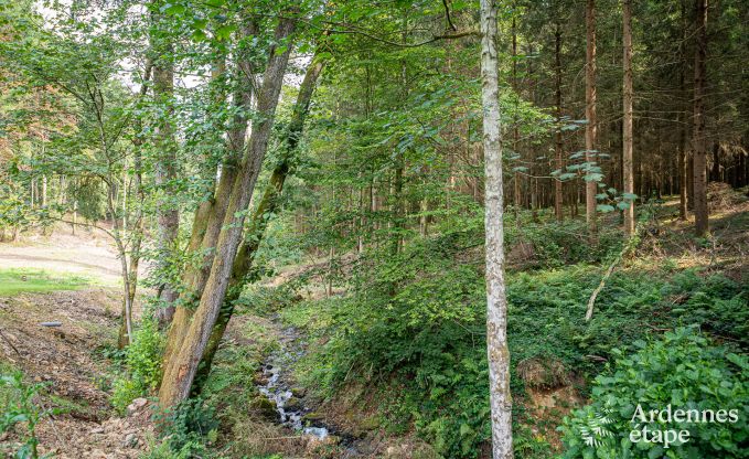 Charmante maison chien admis  Manhay pour 8 personnes, avec piscine extrieure chauffe, tang priv et garage  vlos  la lisire de la fort