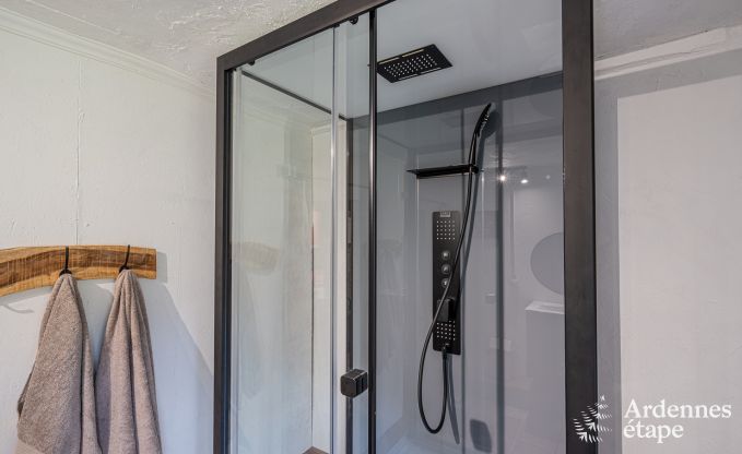 Charmante maison chien admis  Manhay pour 8 personnes, avec piscine extrieure chauffe, tang priv et garage  vlos  la lisire de la fort