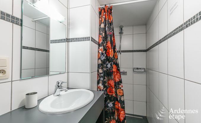 Maison de vacances avec sauna et jeux  Manhay pour 20 personnes en Ardenne