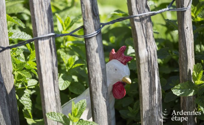 Maison de vacances avec sauna et jeux  Manhay pour 20 personnes en Ardenne