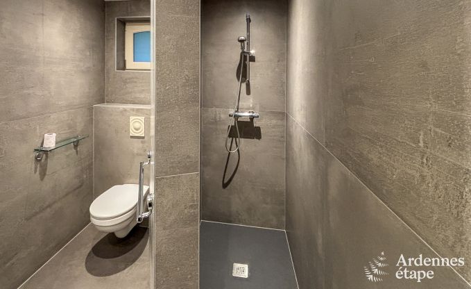 Villa de Luxe pour 12 personnes � Manhay en Ardenne