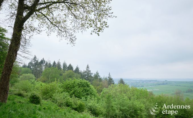 Chalet en bois pour 6 personnes au milieu de la nature  Marche-en-Famenne, Ardenne