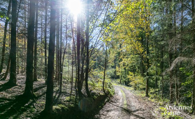 Maison de vacances � Marche-en-Famenne pour 2/4 personnes en Ardenne