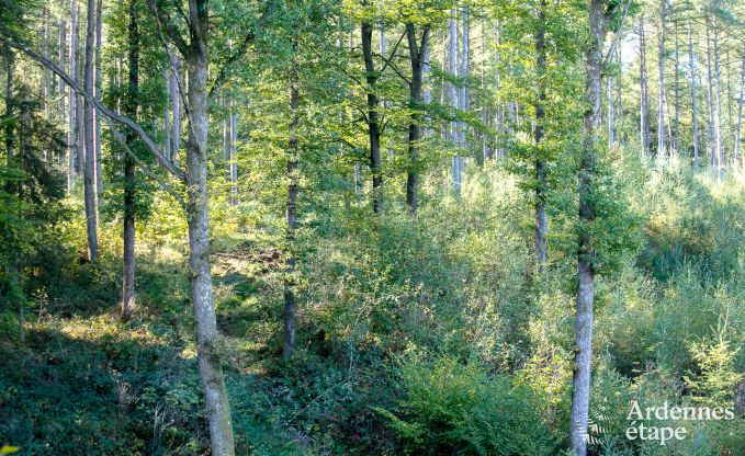 Maison de vacances � Marche-en-Famenne pour 2/4 personnes en Ardenne