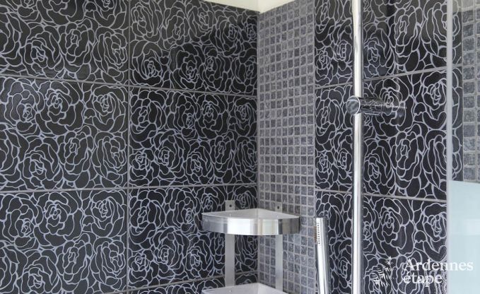 Villa de Luxe � Marche-en-Famenne pour 22 personnes en Ardenne