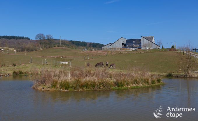 Villa de Luxe � Marche-en-Famenne pour 22 personnes en Ardenne