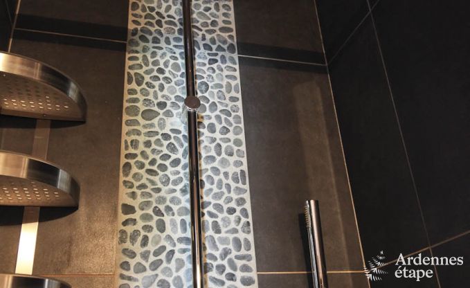 Villa de Luxe � Marche-en-Famenne pour 22 personnes en Ardenne