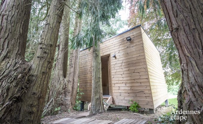 Ch�teau � Marche-en-Famenne pour 15 personnes en Ardenne