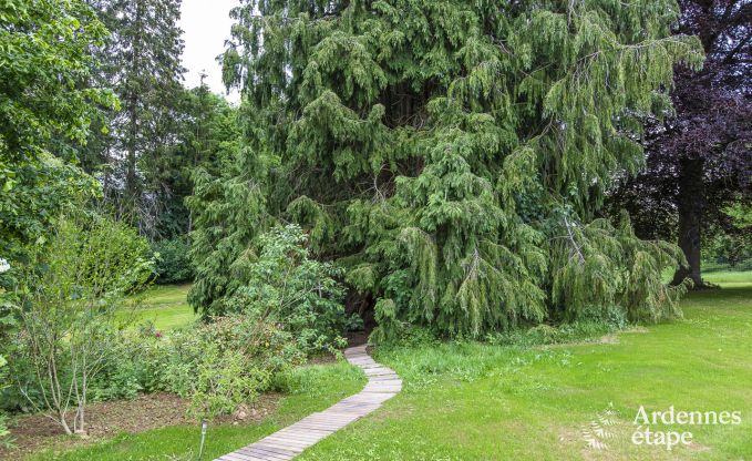 Ch�teau � Marche-en-Famenne pour 15 personnes en Ardenne