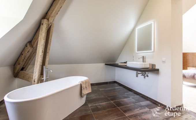 Ch�teau � Marche-en-Famenne pour 15 personnes en Ardenne