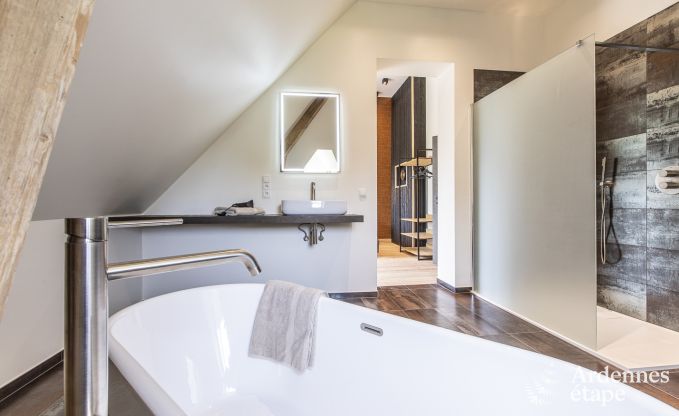 Ch�teau � Marche-en-Famenne pour 15 personnes en Ardenne