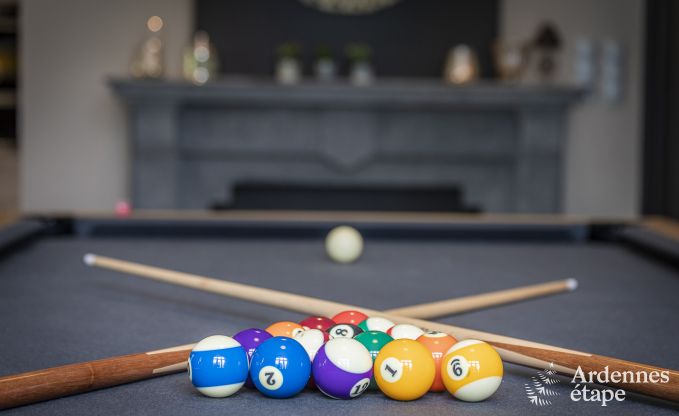 Ch�teau � Marche-en-Famenne pour 15 personnes en Ardenne